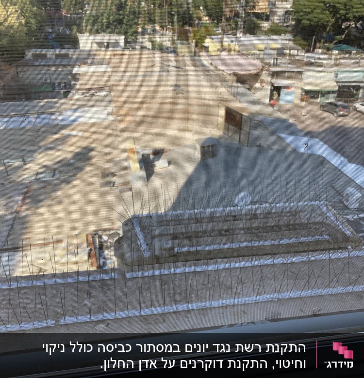 דוקרנים למניעת יונים על אדן חלון